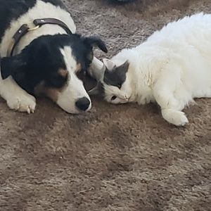 Meet your Posher, Vicky